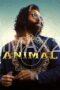 Animal (2023) Animal (2023)
