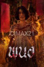 Panor (2025)