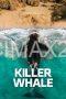 Killer Whale (2026) Killer Whale (2026)